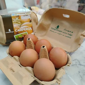 HUEVOS CAMPEROS X 12