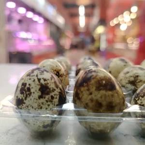 HUEVOS CODORNIZ