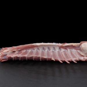 Chuletas de lechal pieza entera (1,2 Kg. aprox)